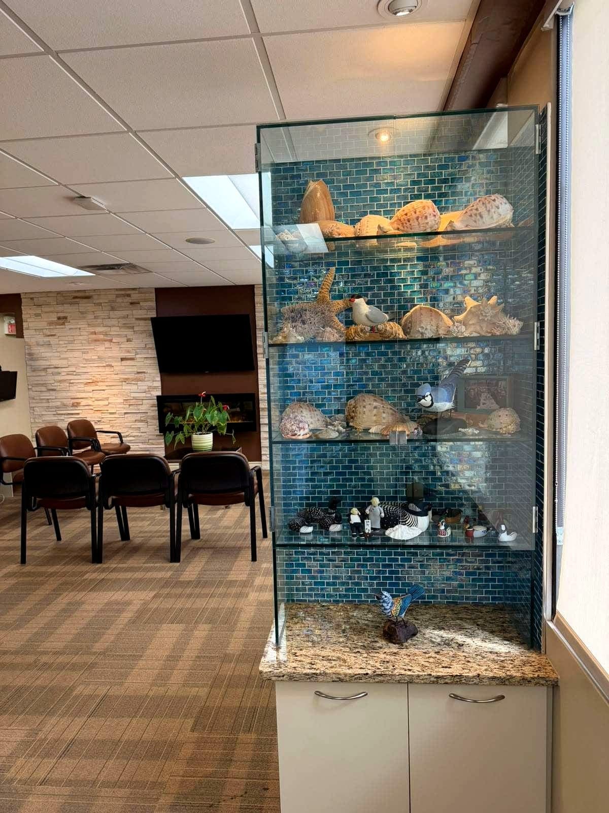 Glass display cabinet of seashells and carved birds in the waiting room
