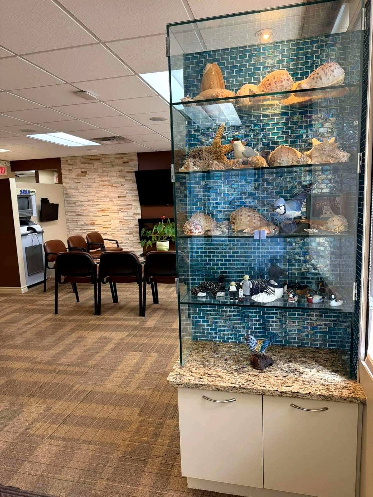 Seashell display cabinet beside the patient waiting area